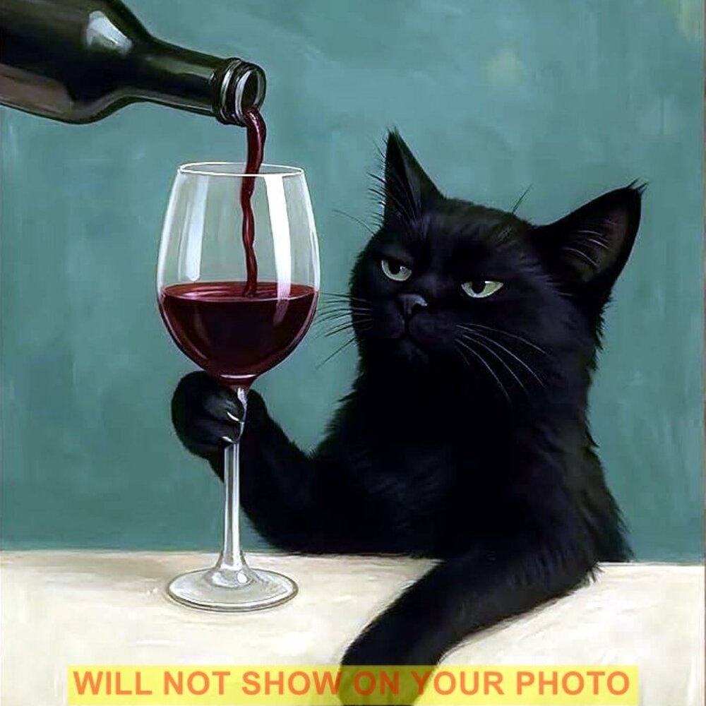 Wall Art Print Humorous Collectible Photograph 8x10 Print, The Black Wino Cat